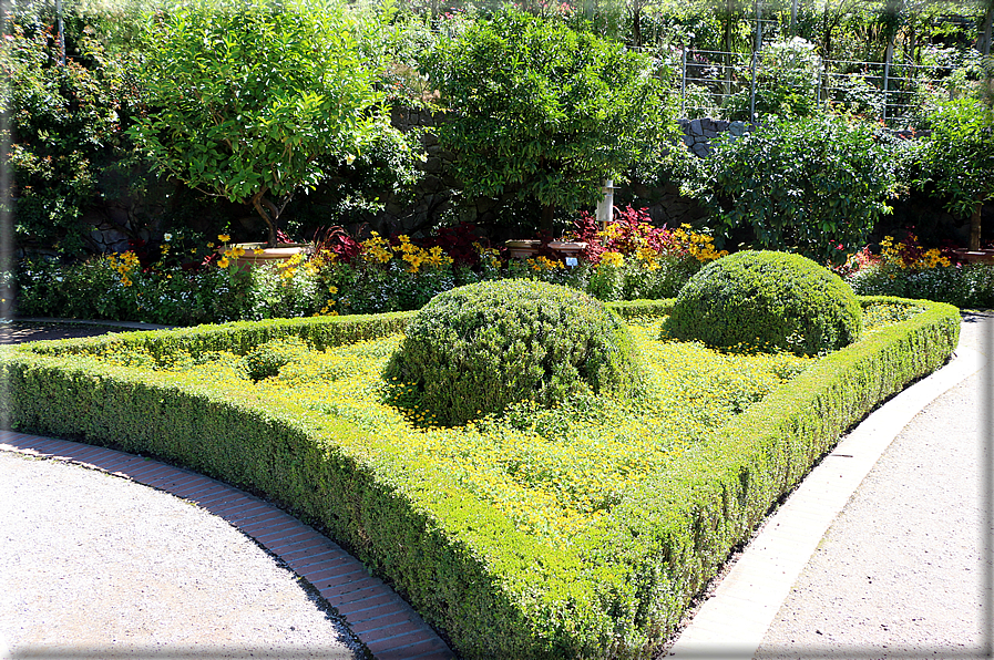 foto Giardini Trauttmansdorff - Giardini acquatici